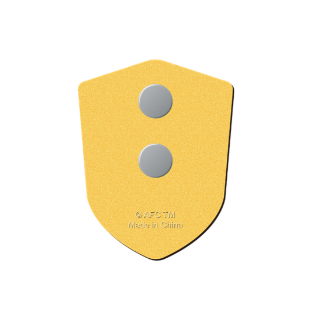 AFC Asian Cup Champion Collection