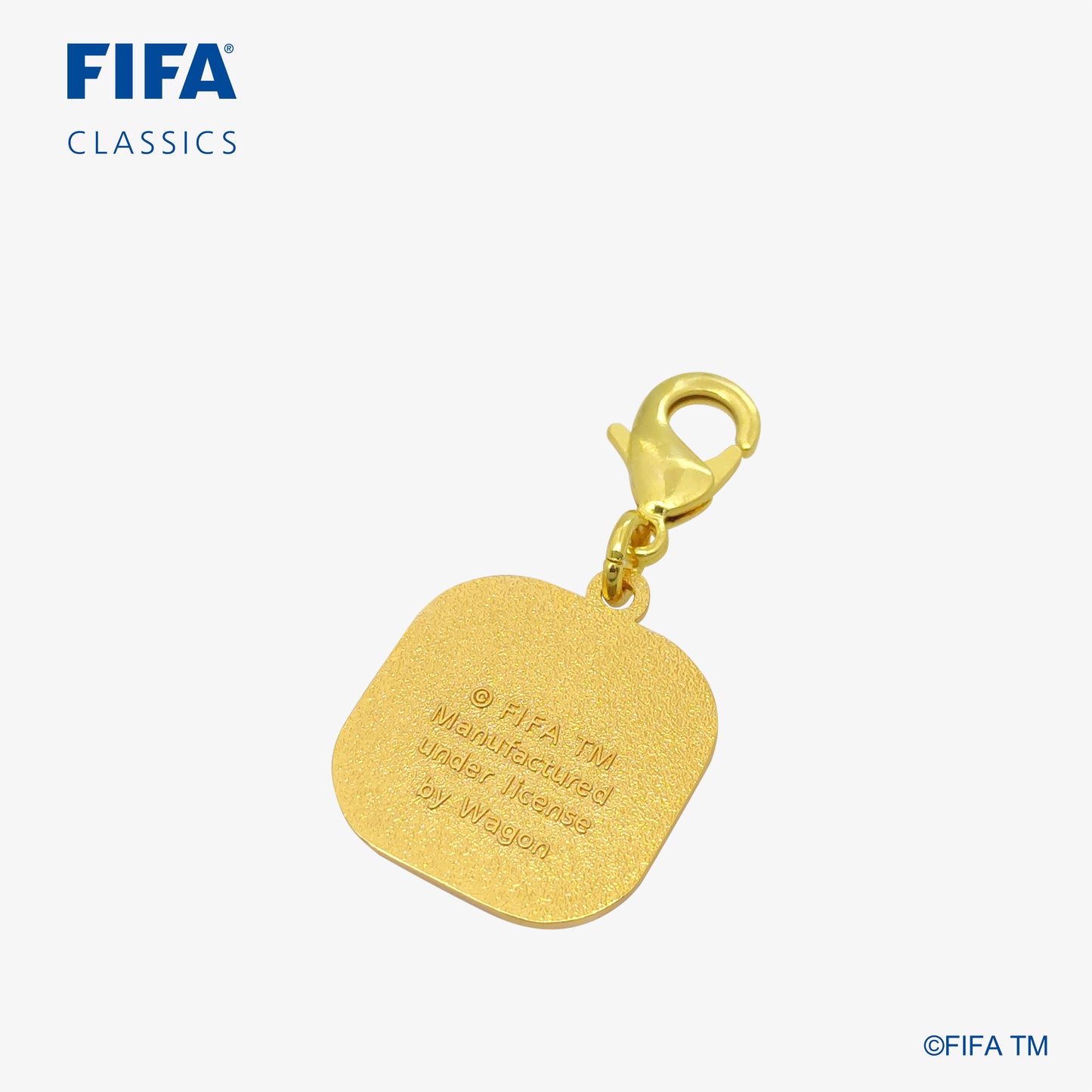Official Emblems Keychain|South Africa - 2010