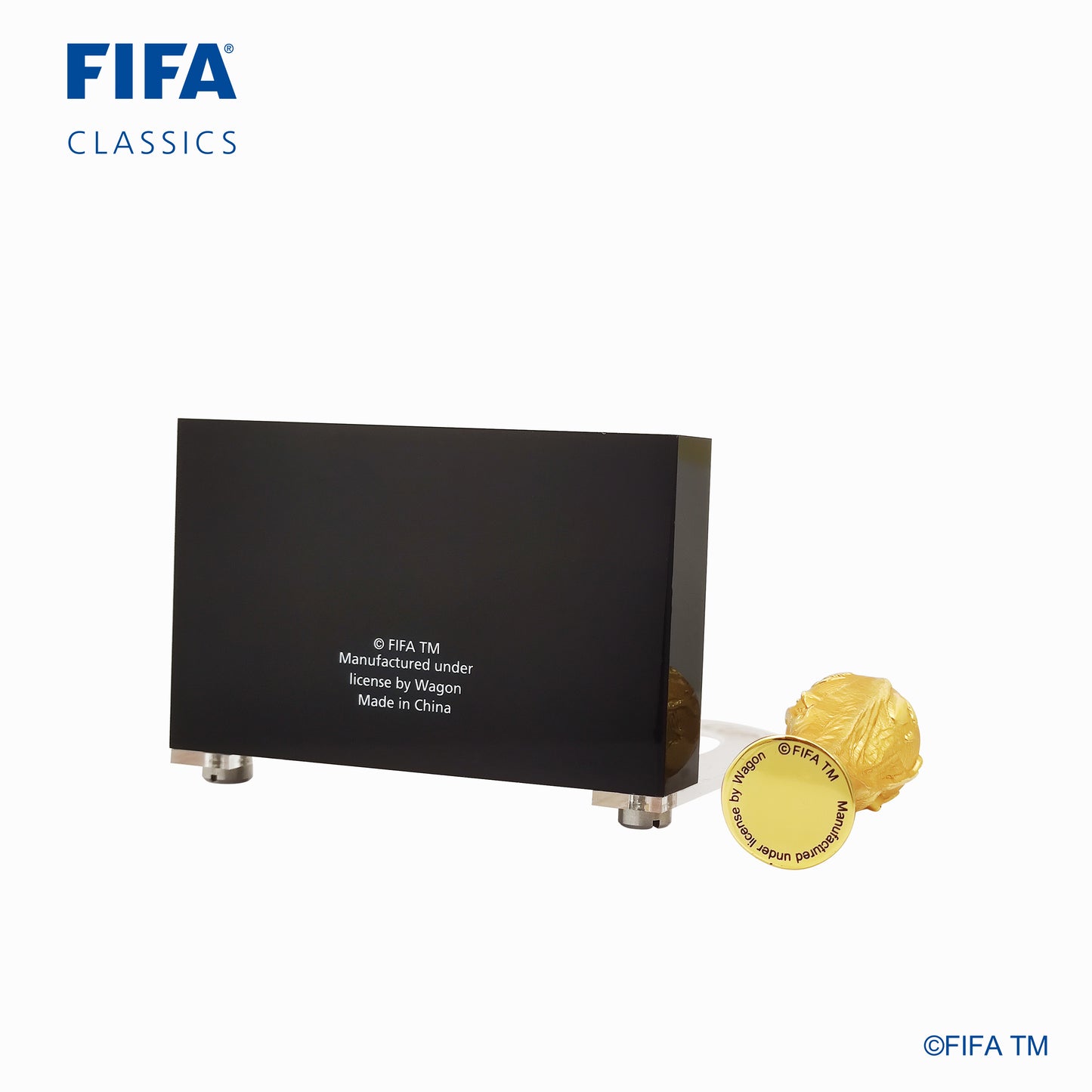 Argentina FIFA World Cup Champions Replica Trophy