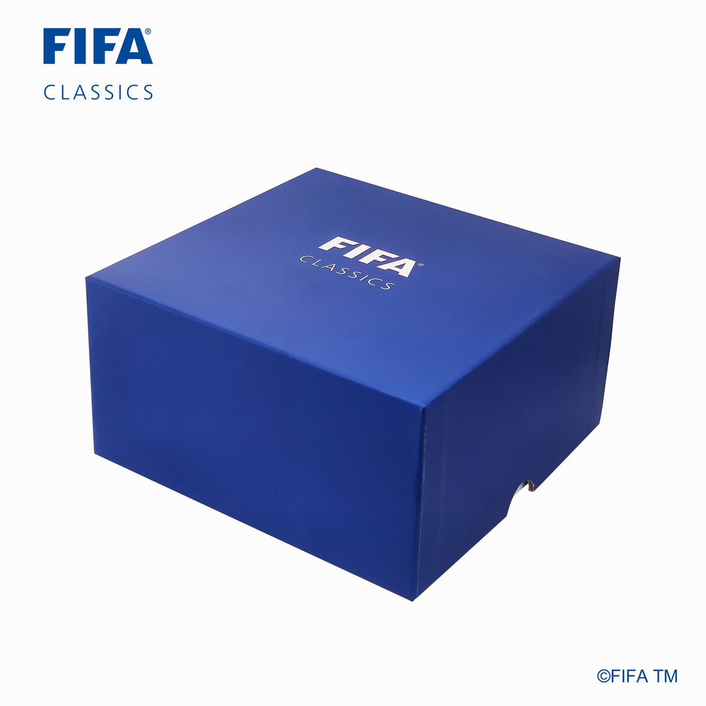 Argentina FIFA World Cup Champions Replica Trophy
