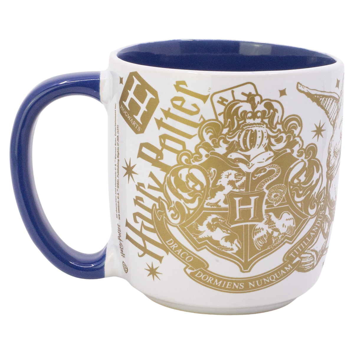 STOR YOUNG ADULT CERAMIC ELITE MUG 13 OZ IN GIFT BOX HARRY POTTER MAGIC & MAYHEM